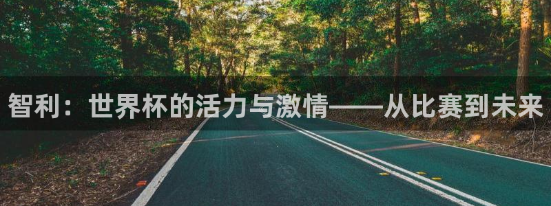 世界杯 直播：智利：世界杯的活力与激情——从比赛到未来