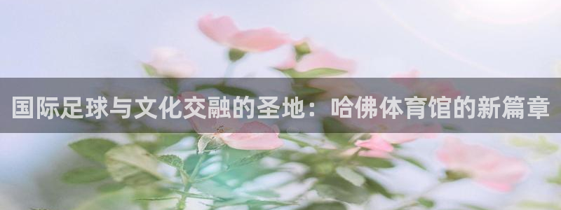 2026年世界杯对阵图：国际足球与文化交融的圣地：哈佛体育馆的新篇章