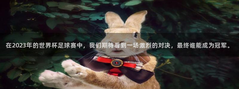 世界杯预选赛欧洲赛区赛程：在2023年的世界杯足球赛中，我们期待看到一场激烈的对决，最终谁能成为冠军。