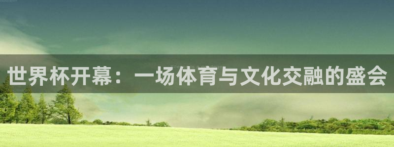 免费足球比赛直播高清:世界杯开幕:一场体育与文化交融的盛会