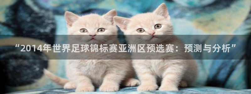 2026世界杯买球:“2014年世界足球锦标赛亚洲区预选赛:预测与分析”