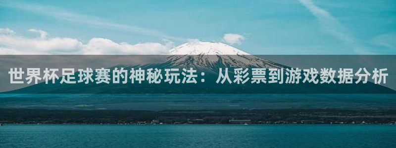足球世界杯时间：世界杯足球赛的神秘玩法：从彩票到游戏数据分析