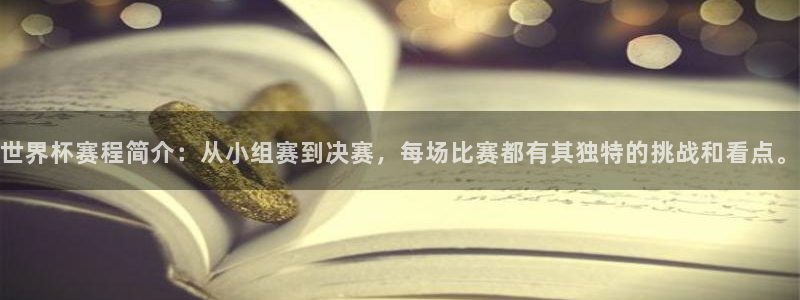 世界杯对阵图2026:世界杯赛程简介:从小组赛到决赛,每场比赛都有其独特的挑战和看点。