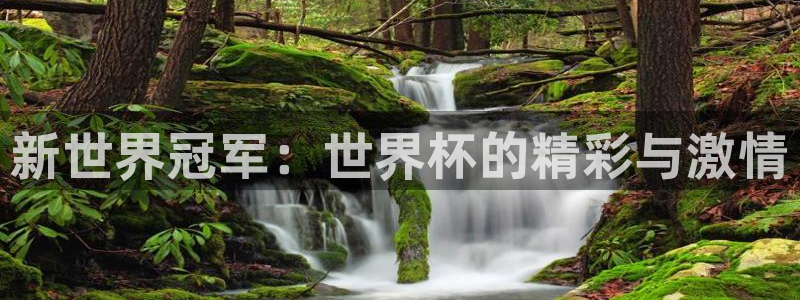 世界杯48支球队赛制:新世界冠军:世界杯的精彩与激情