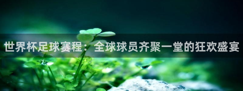 2026世界杯赛:世界杯足球赛程:全球球员齐聚一堂的狂欢盛宴
