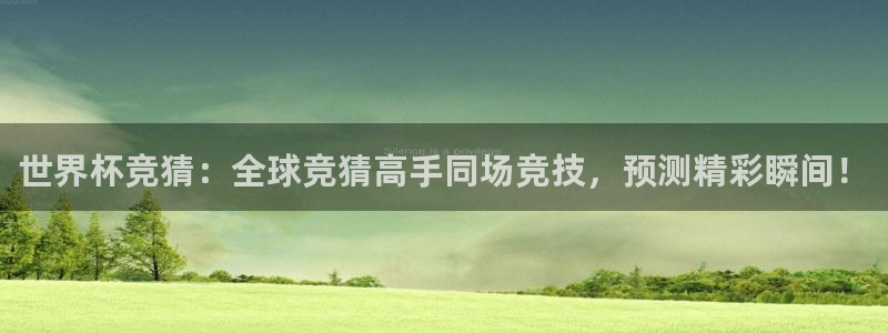 足球世界杯时间:世界杯竞猜:全球竞猜高手同场竞技,预测精彩瞬间!