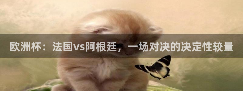 世界杯直播:欧洲杯:法国vs阿根廷,一场对决的决定性较量