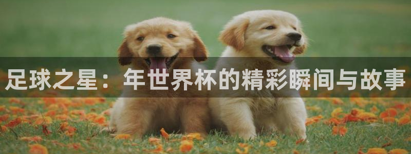 世界杯球队排名:足球之星:年世界杯的精彩瞬间与故事